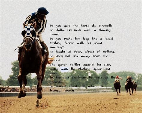TOP 25 RACEHORSES QUOTES .